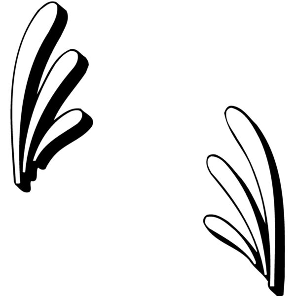 BRDR057 Thumbnail